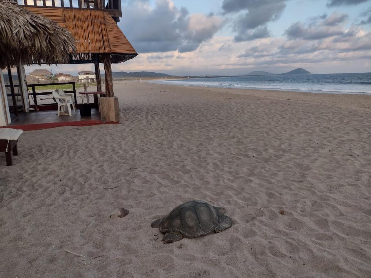 Cabanas Alta Mar Guayabas Bagian luar foto